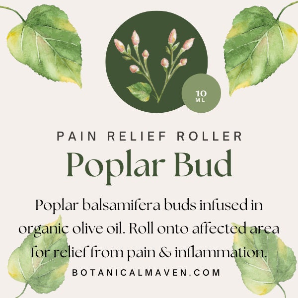 Balm of Gilead Oil Roller (Poplar Bud)