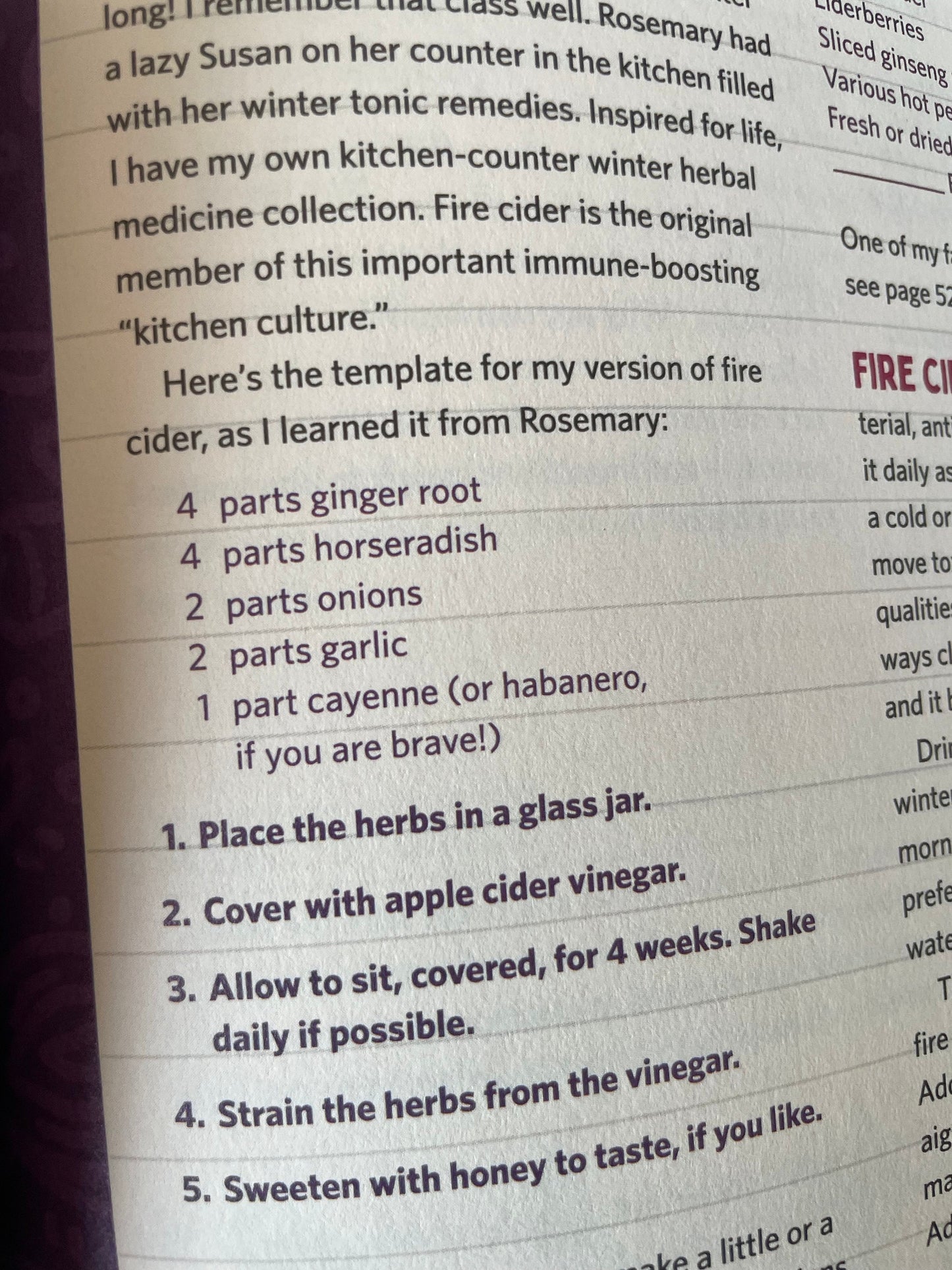 Fire Cider: Herbal Tonic with Horseradish, Ginger & Garlic (3 oz)