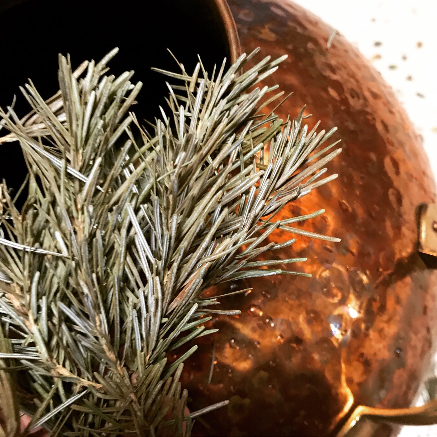 Organic Rosemary Hydrosol: Handcrafted Botanical Distillate