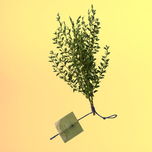 Creosote Shower Bundle