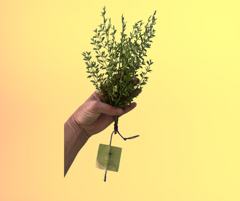 Creosote Shower Bundle