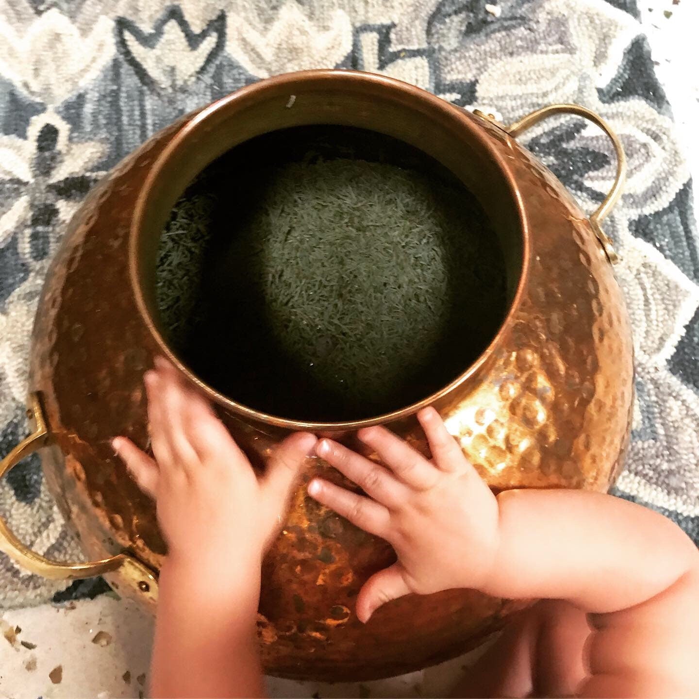 Organic Rosemary Hydrosol: Handcrafted Botanical Distillate