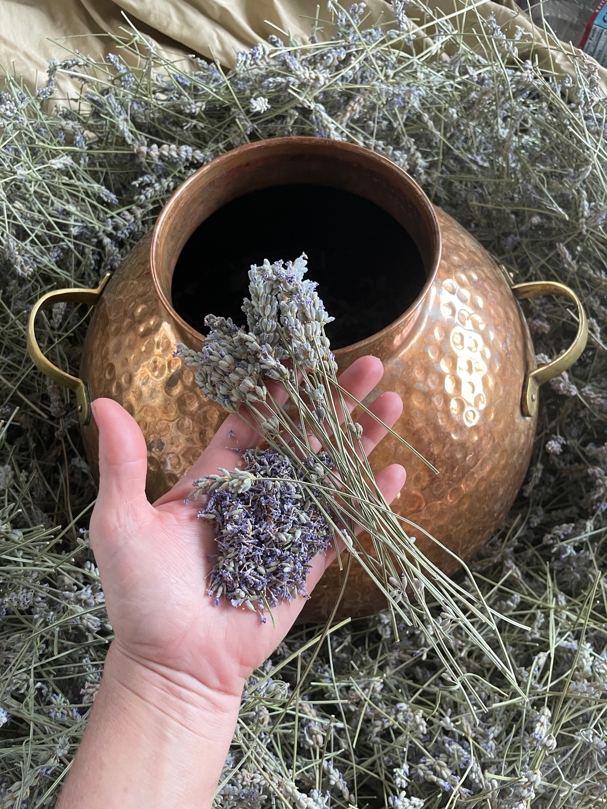 Lavender and Copper Botanical Maven